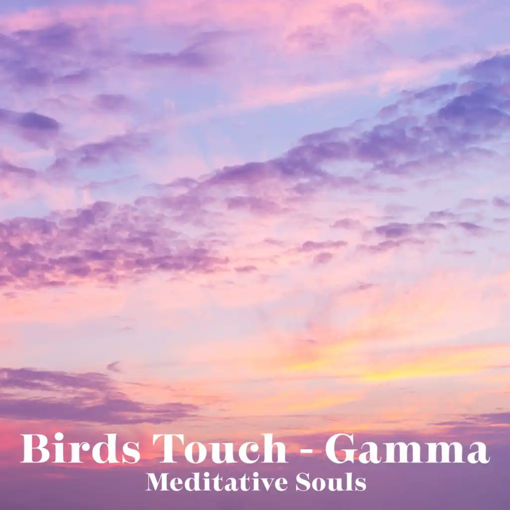 Birds Touch - Gamma