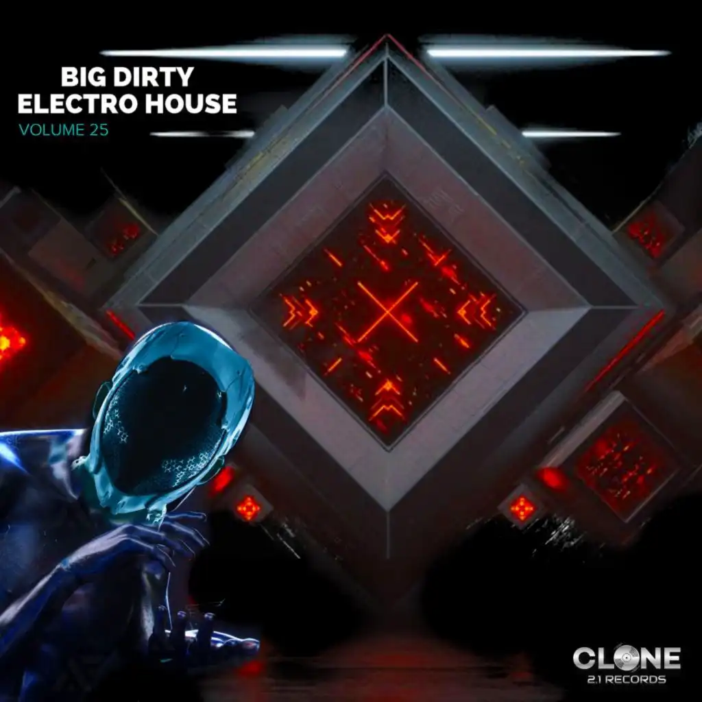 Big Dirty Electro House, Vol. 25