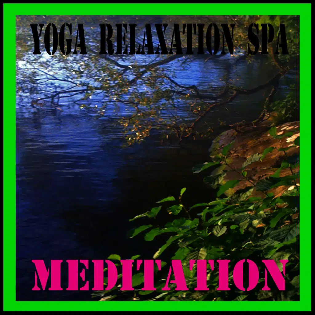 Meditation and Yoga