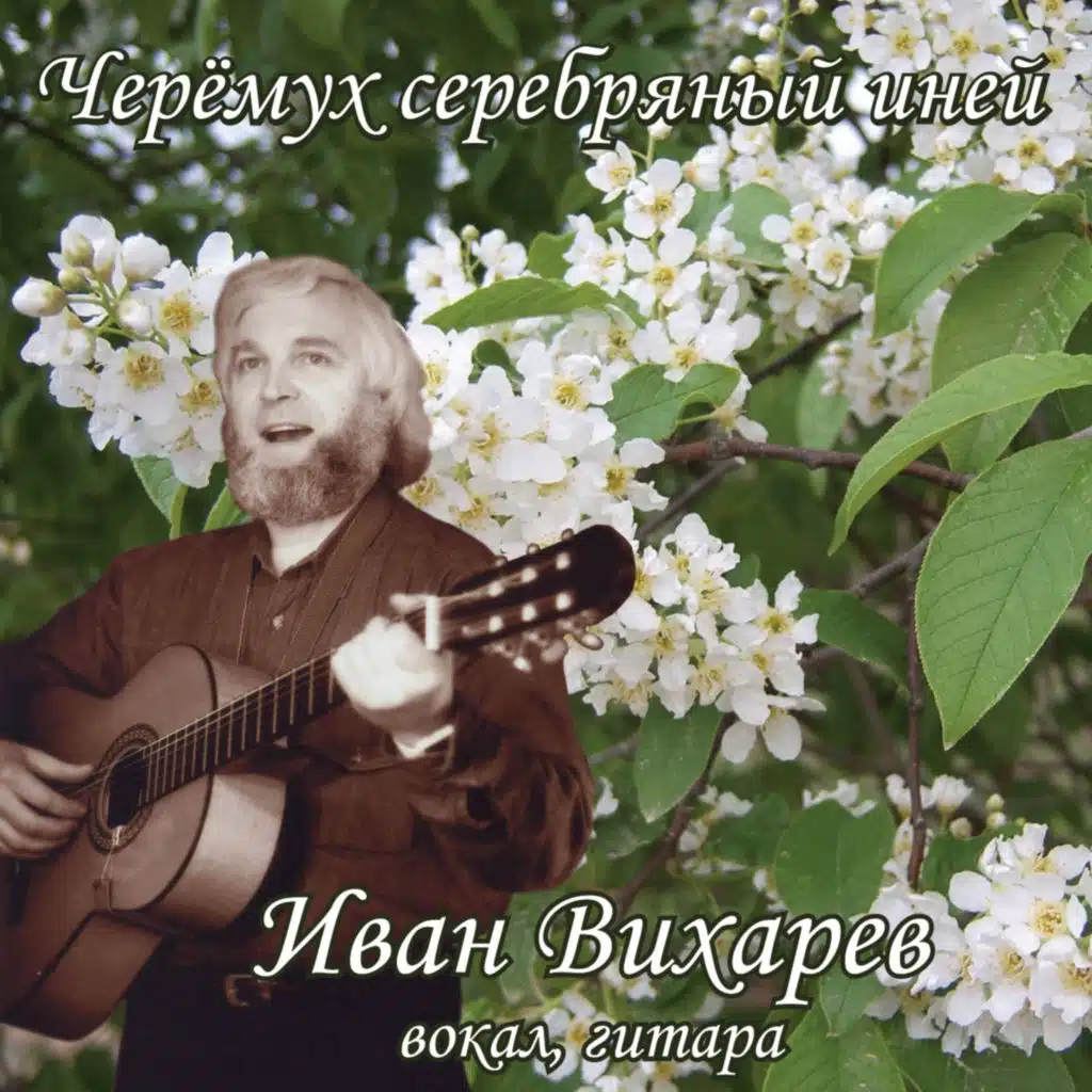 Черёмух серебряный иней