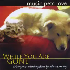 Music Pets Love: While You Are Gone