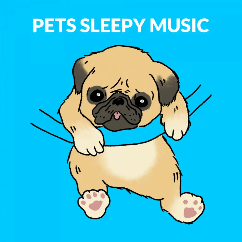 Sleepy Music For Dogs
