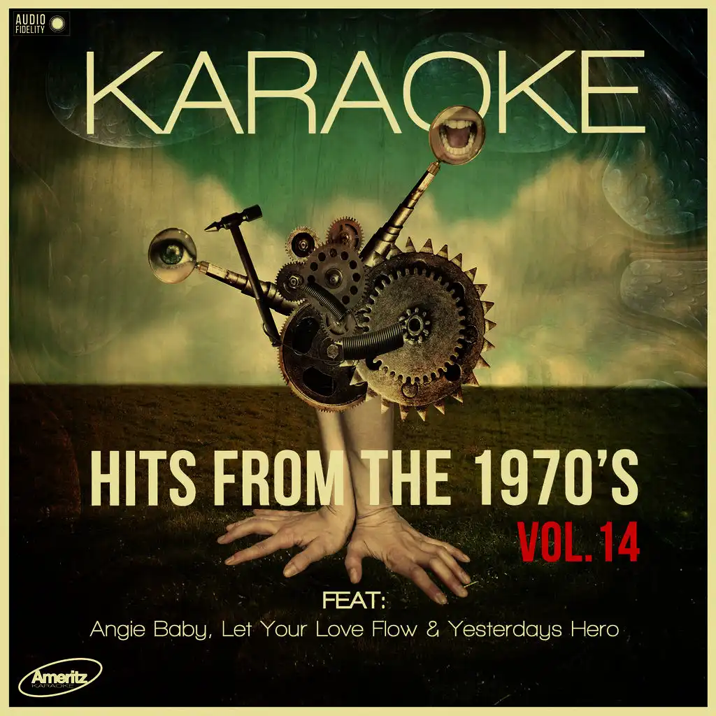 Karaoke Hits from the 1970's, Vol. 14