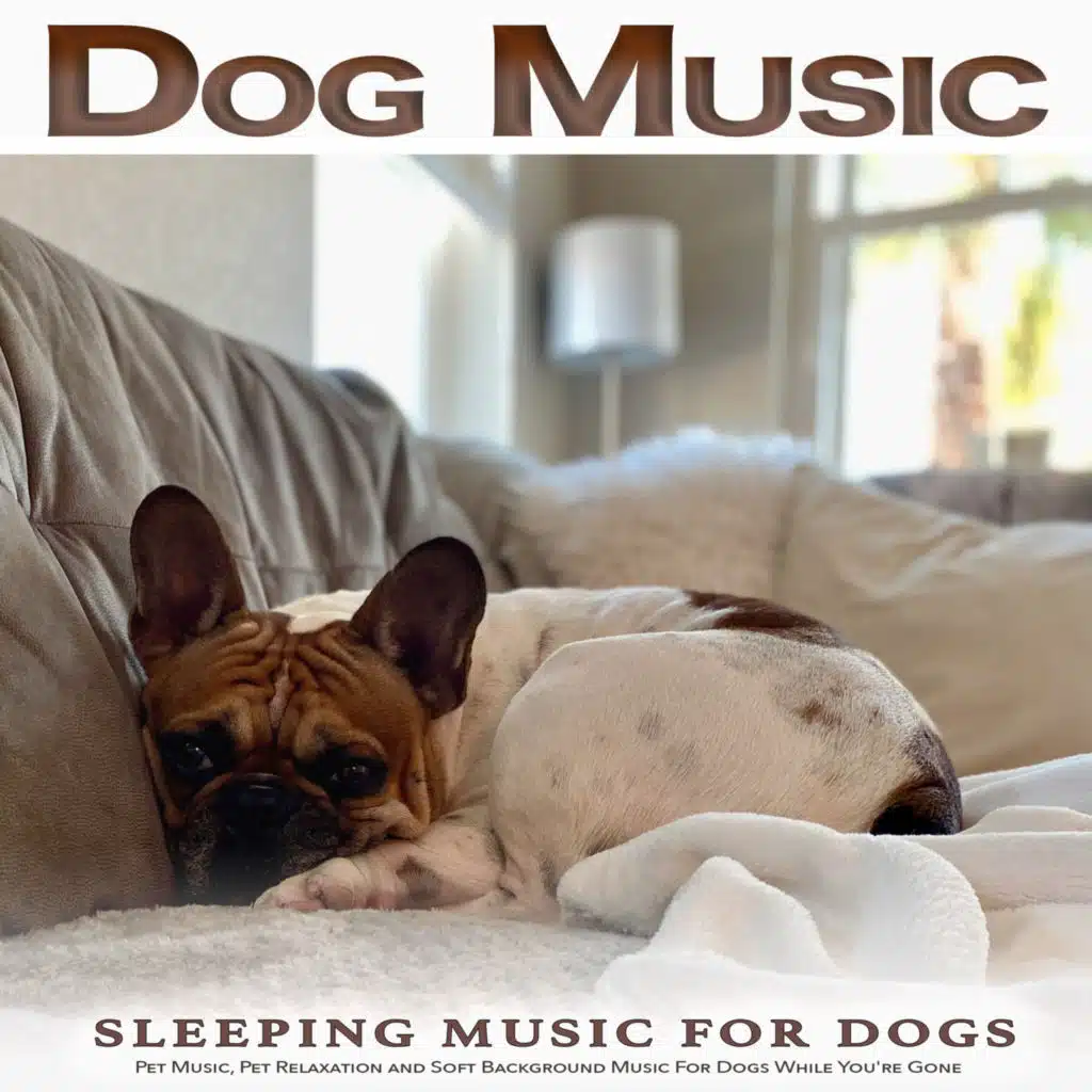Dog Music