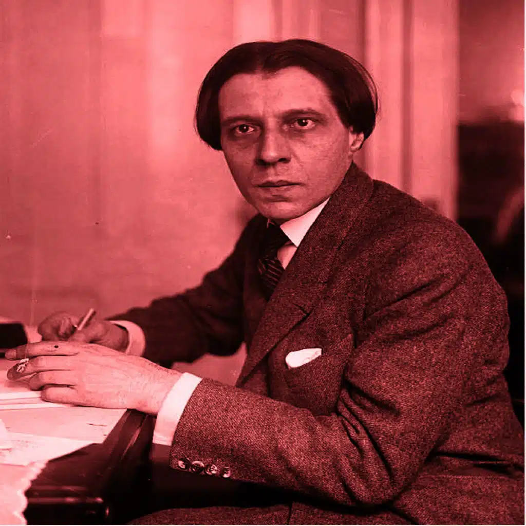 Plays Robert Schumann