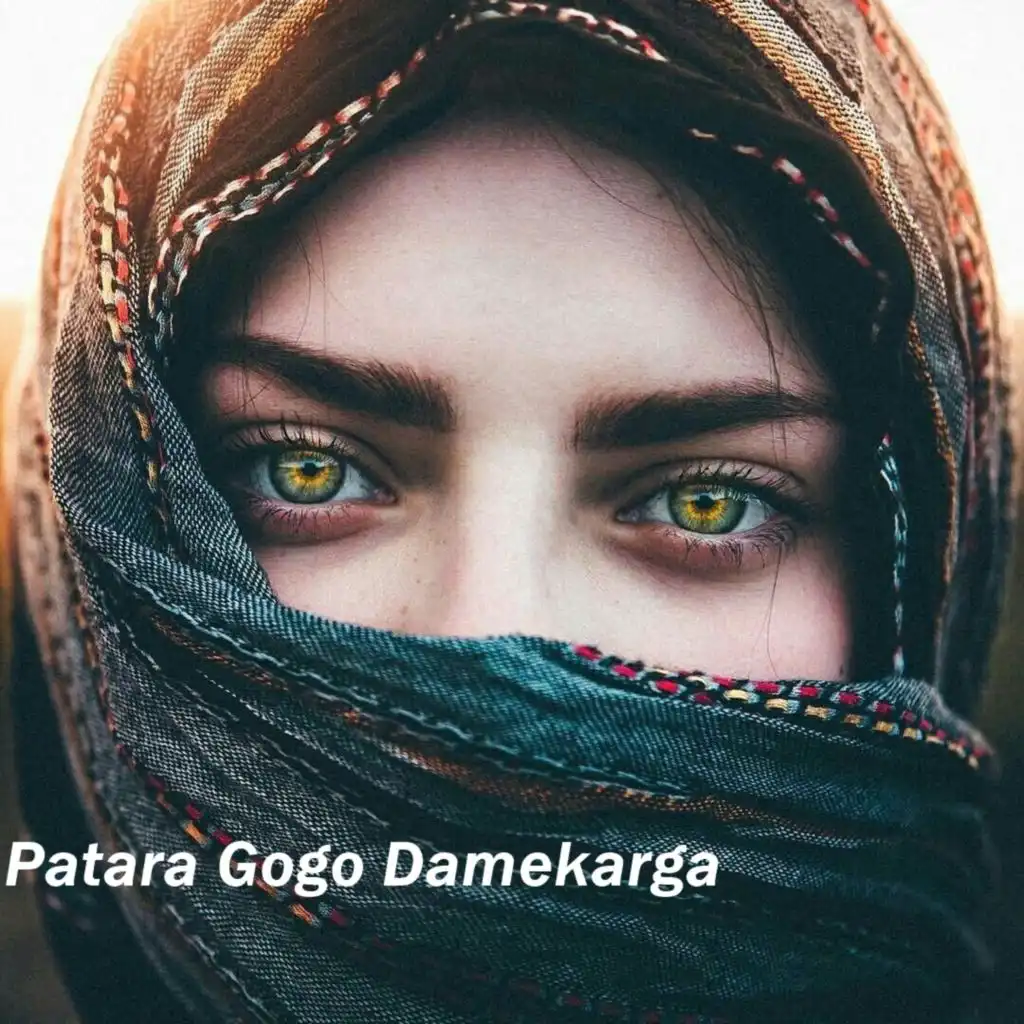 Patara Gogo Damekarga