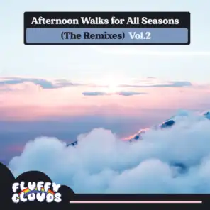 Afternoon Walks for All Seasons (The Remixes), Vol. 2