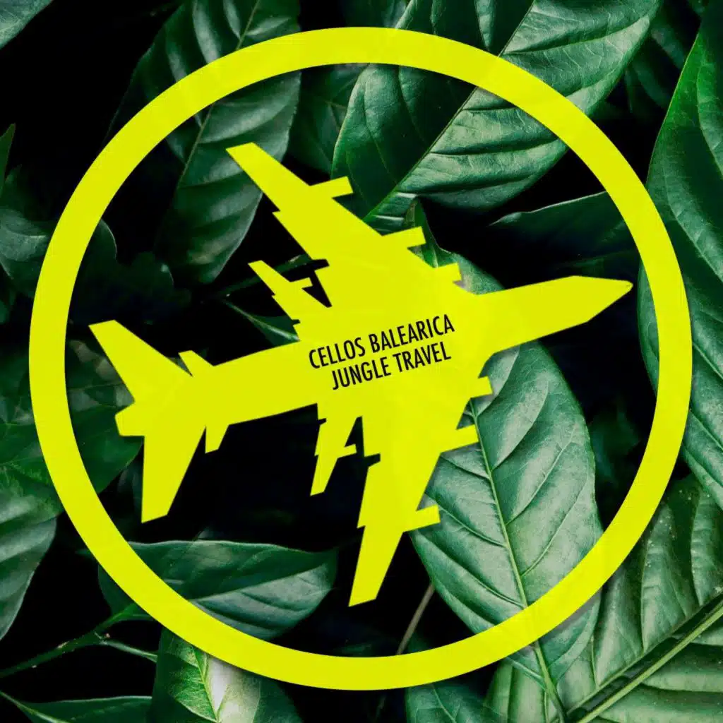 Lions (Dub Beats Mix)