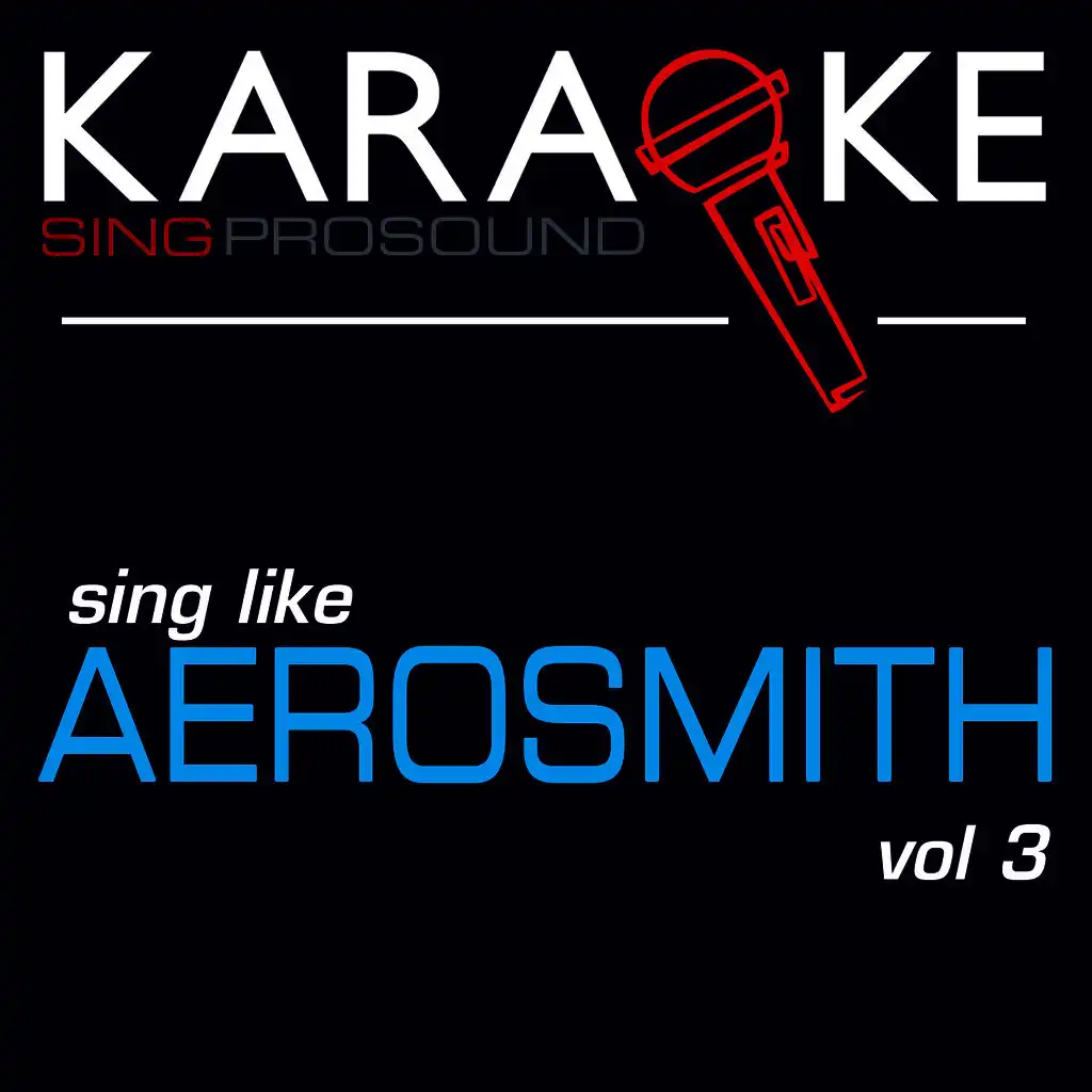 Karaoke in the Style of Aerosmith, Vol 3
