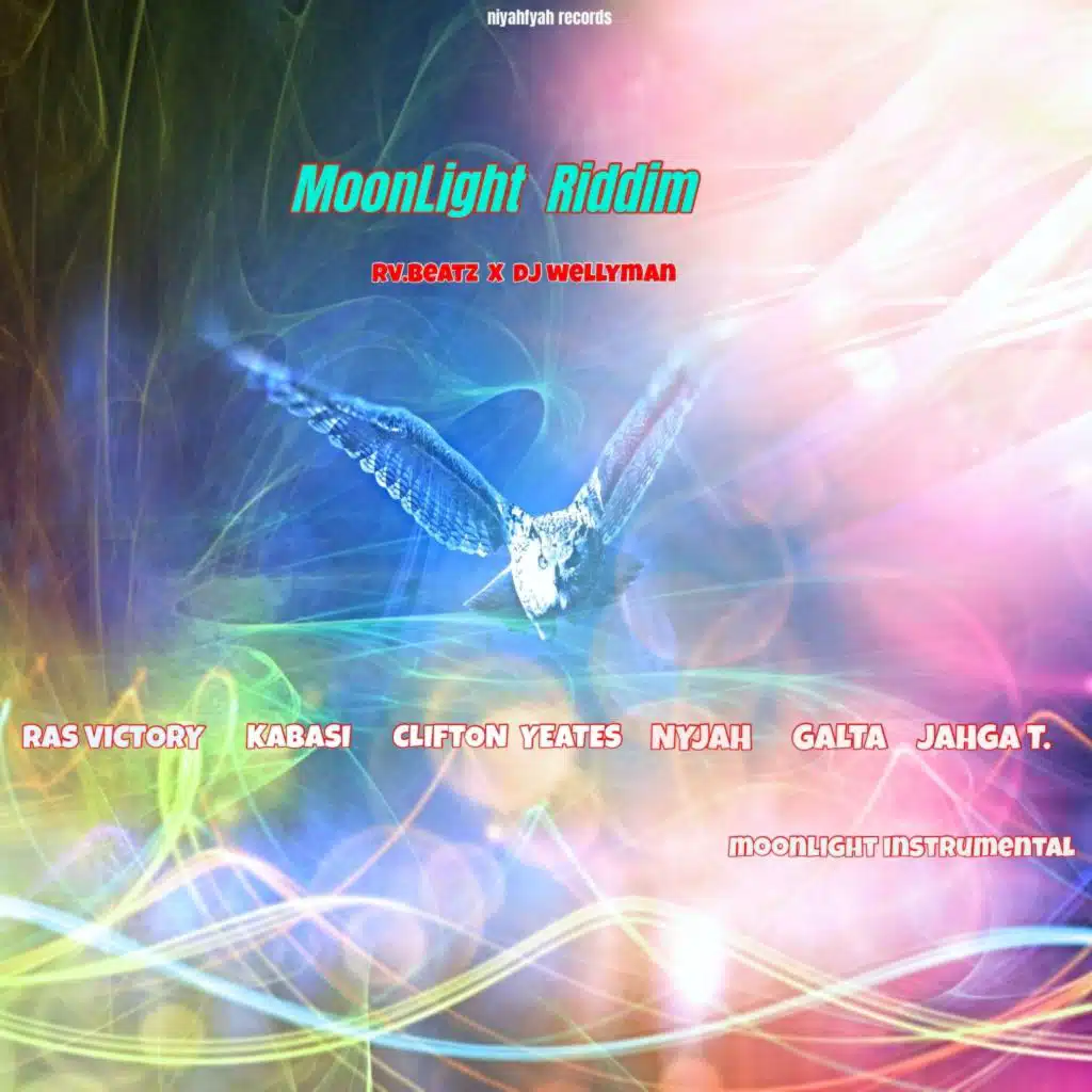 Moonlight Riddim (RV Beatz X DJ Wellyman Mix)