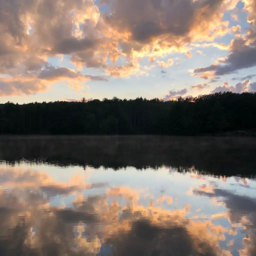 Don't Really Need You