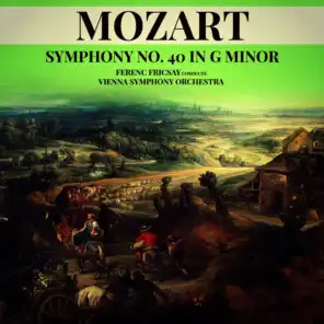 Symphony No. 40 in G Minor, K. 550: III. Menuetto (allegretto)