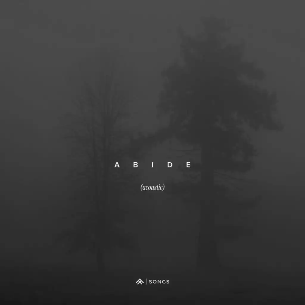 Abide [Acoustic]