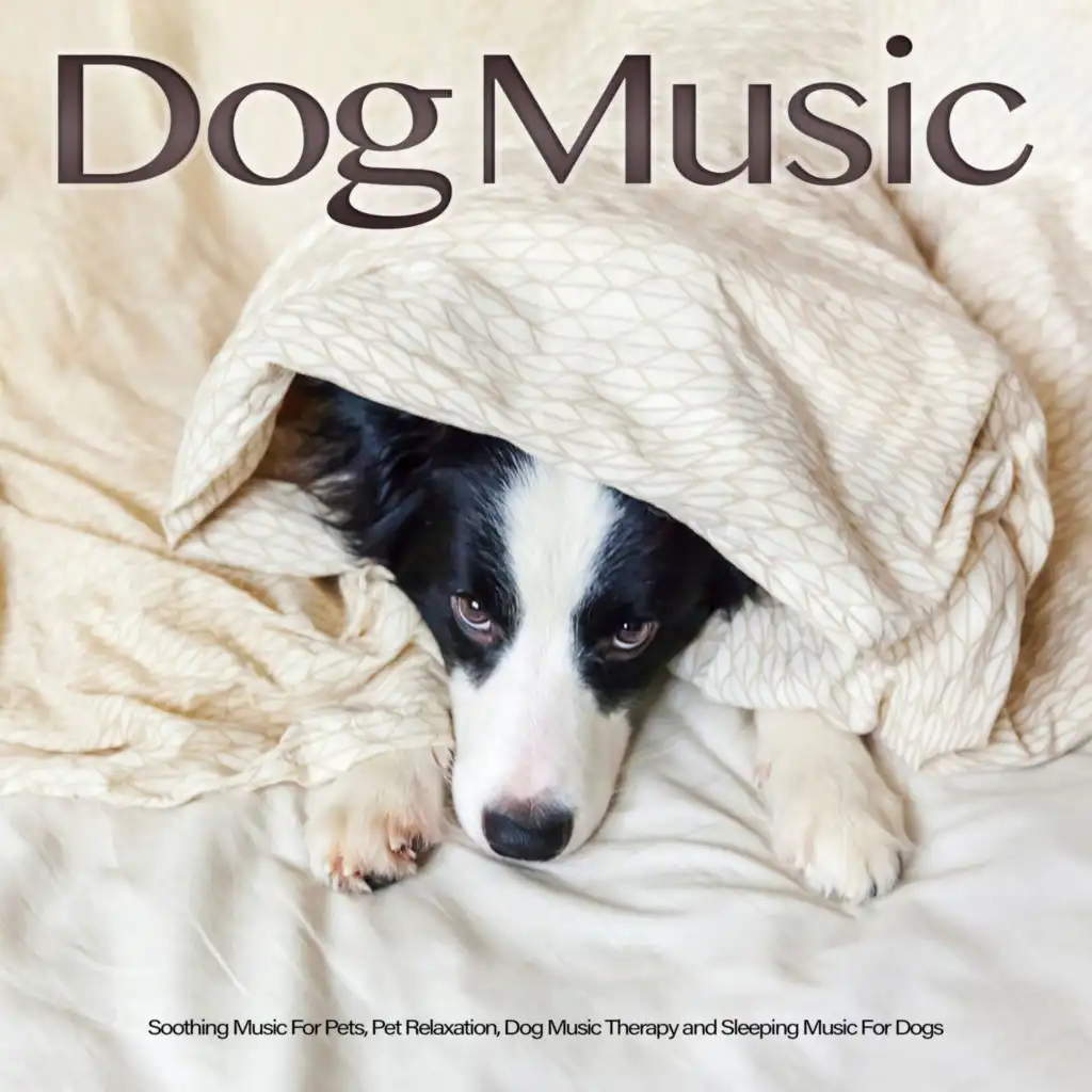 Dog Music: Soothing Music For Pets, Pet Relaxation, Dog Music Therapy and Sleeping Music For Dogs