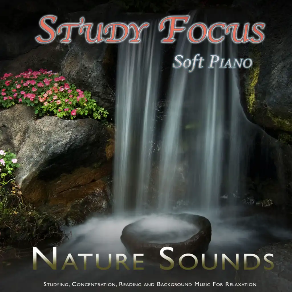 Study Music and Nature Sounds