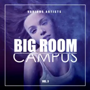 Big Room Campus, Vol. 3