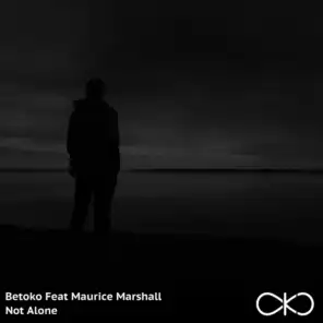 Not Alone (feat. Maurice Marshall)