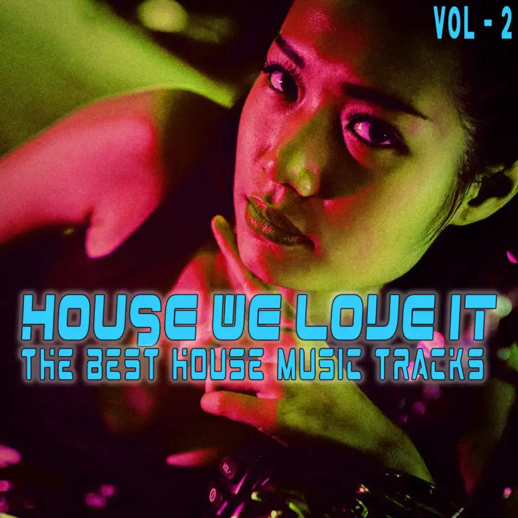House, We Love It. Vol. 2 (The Best House Music Tracks)