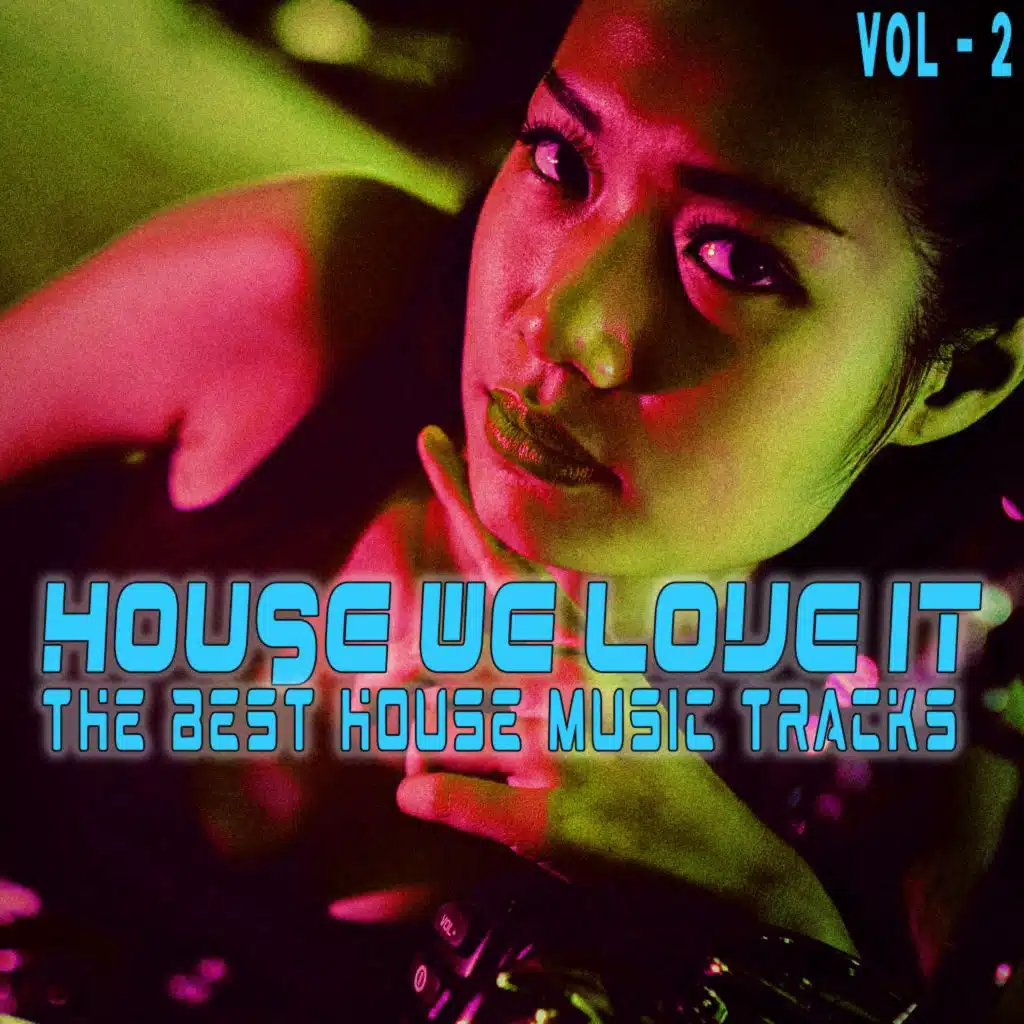 House, We Love It. Vol. 2 (The Best House Music Tracks)