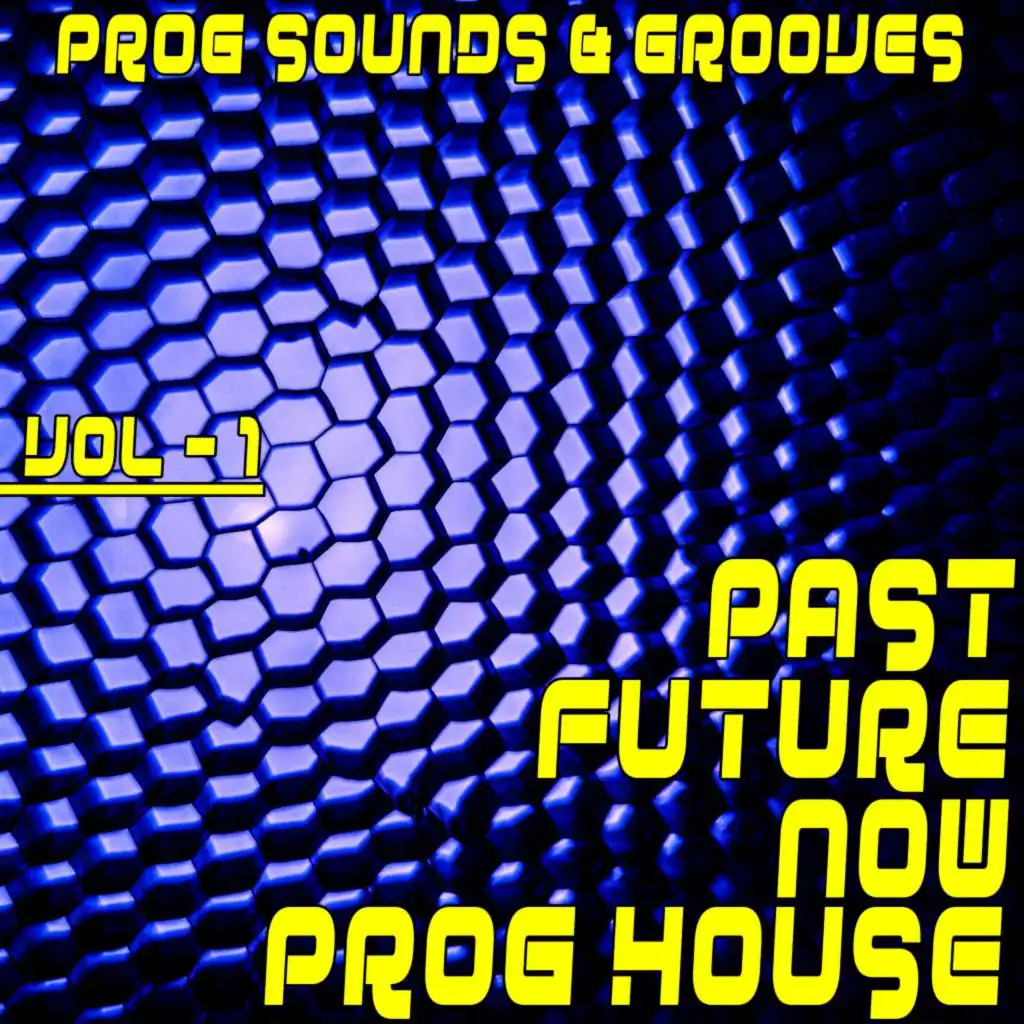 Past, Future, Now: Prog House, Vol. 1 (Prog Sounds & Grooves)