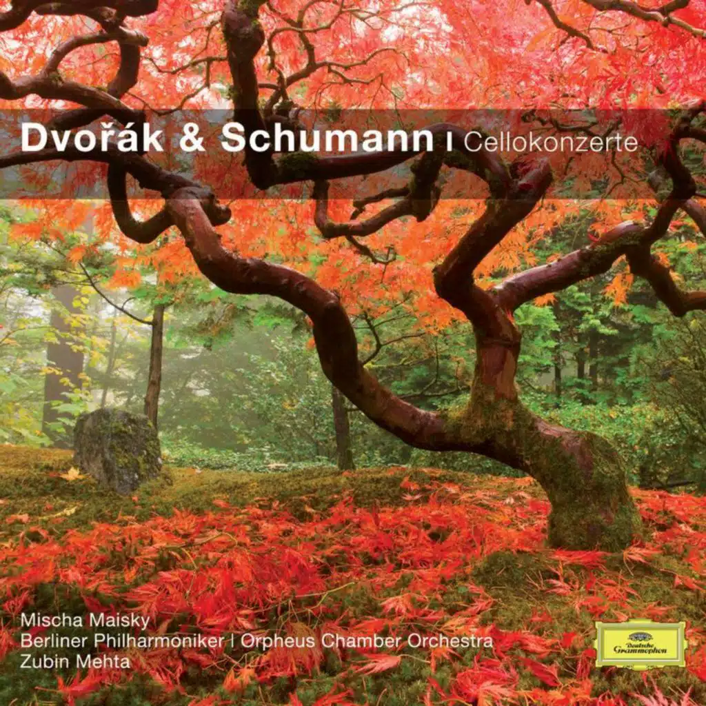 Schumann: Cello Concerto in A Minor, Op. 129: I. Nicht zu schnell