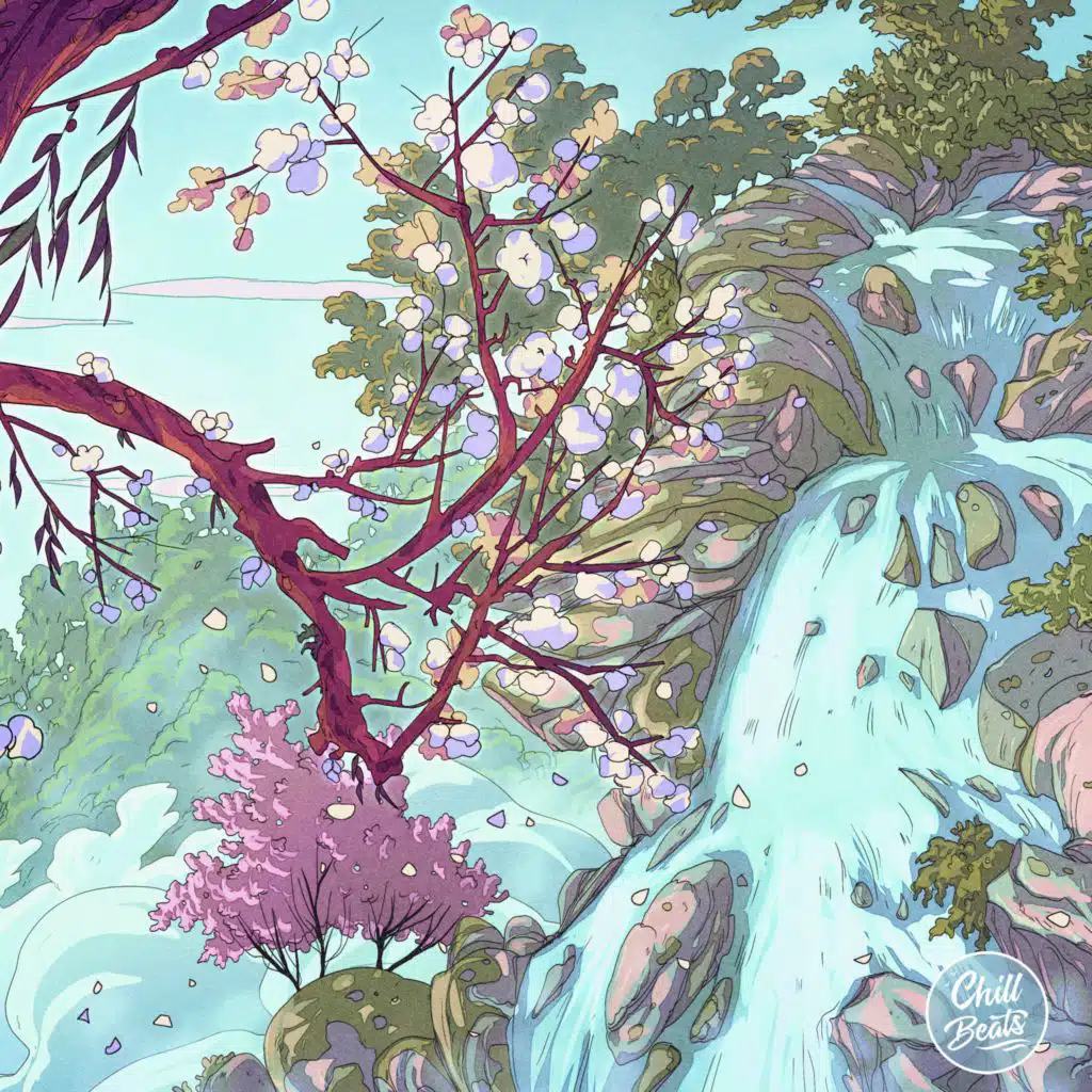 softy & Pointy Features