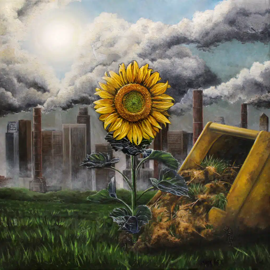 Sunflower