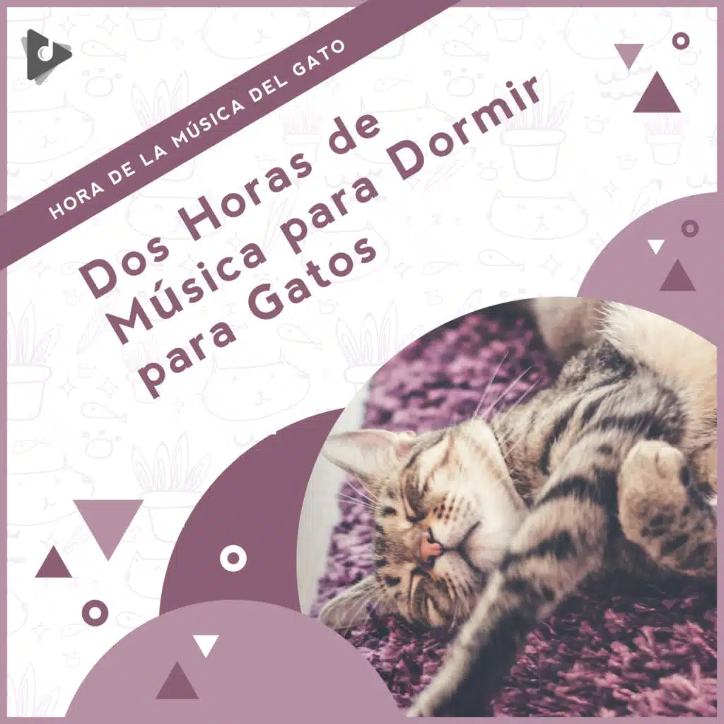 Hora de la Música del Gato, Música Relajante para Gatos & Música Calmante para Gatitos
