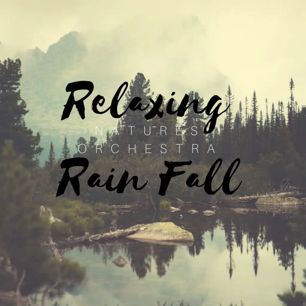 Relaxing Rain Fall