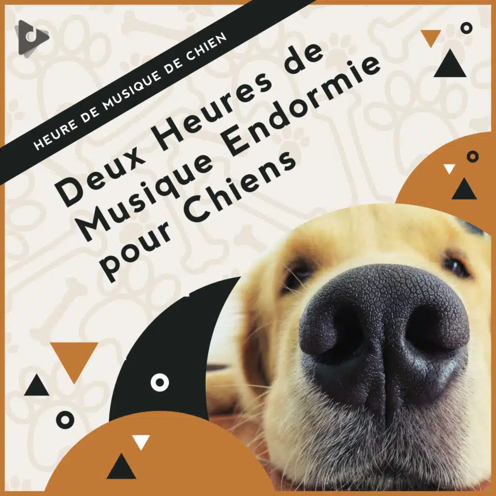 2 Heures de Musique Endormie pour Chiens