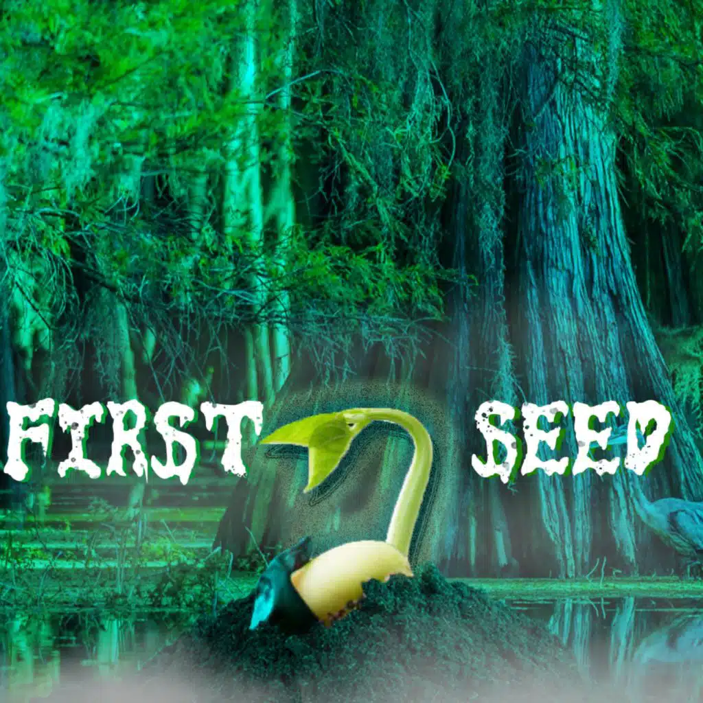 First Seed