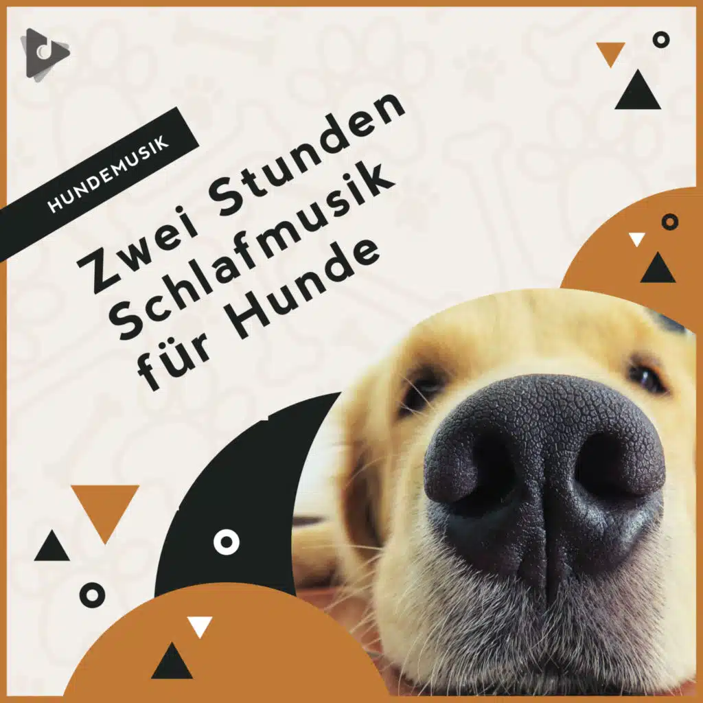 Hundemusik, Entspannende Musik für Hunde & Beruhigende Welpenmusik