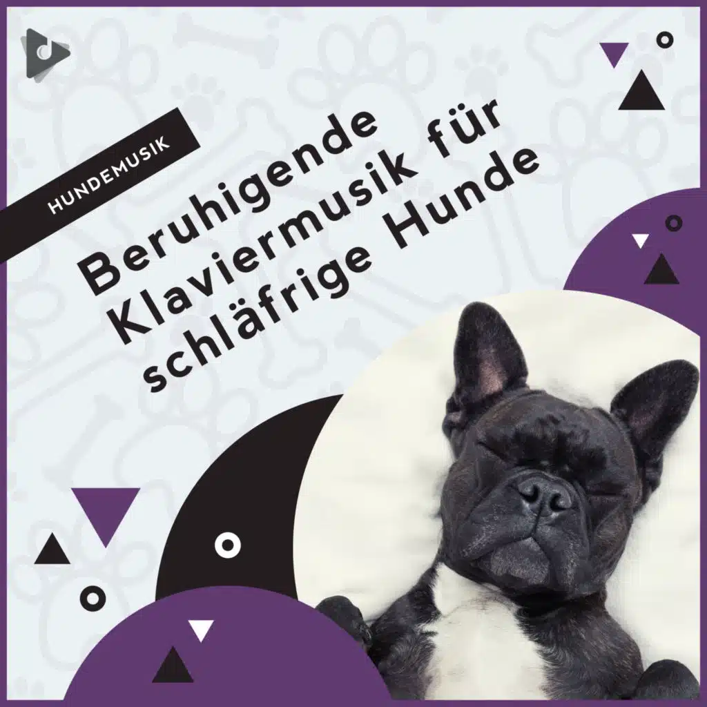 Bestes Instrumental für Welpen