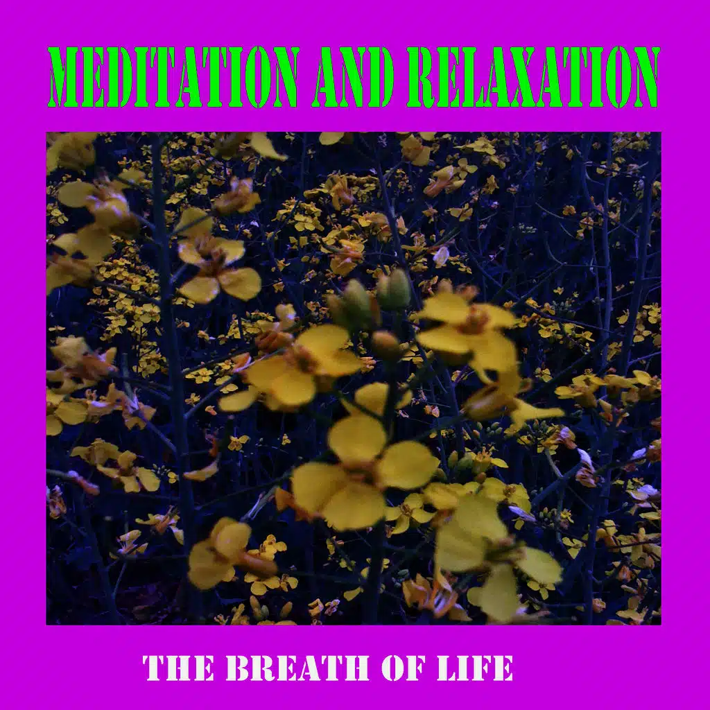 Meditation and Relaxation