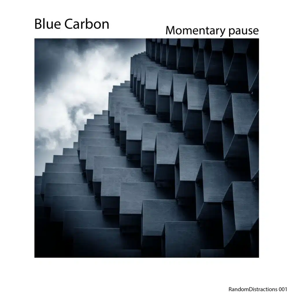 Momentary Pause