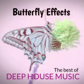 Butterfly Effects : the Best of Deep House Music