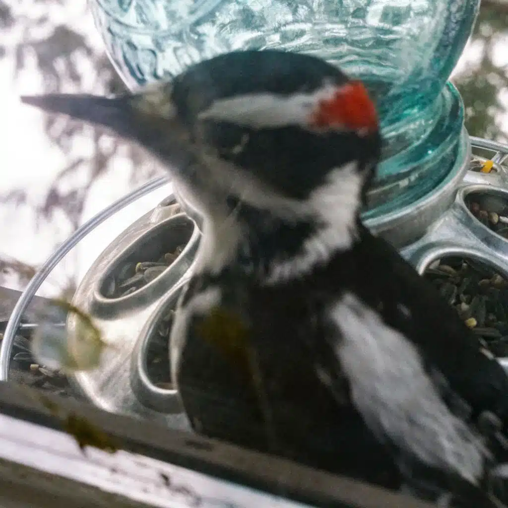 No Concept (Multitasking)