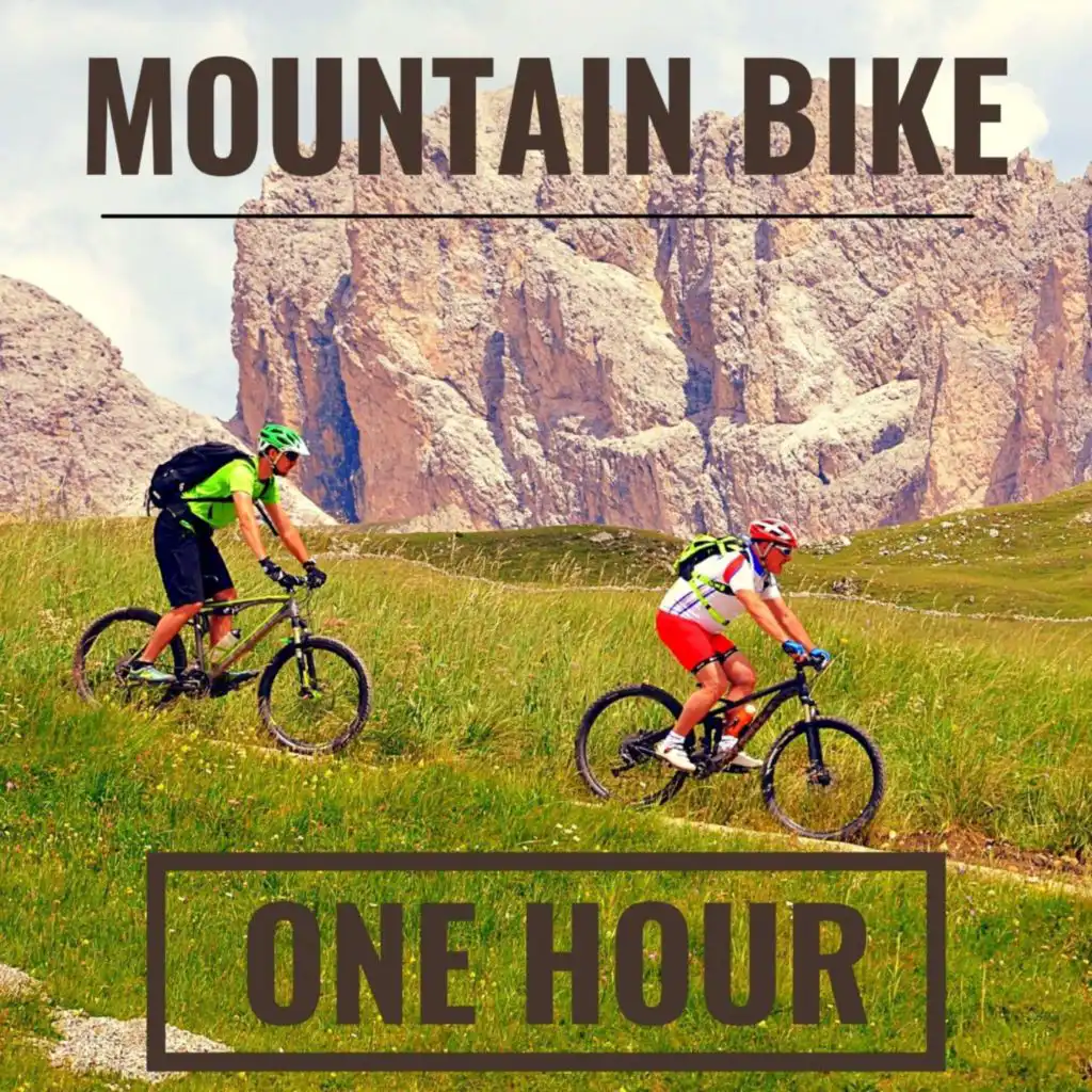 Mountain Bike : One Hour