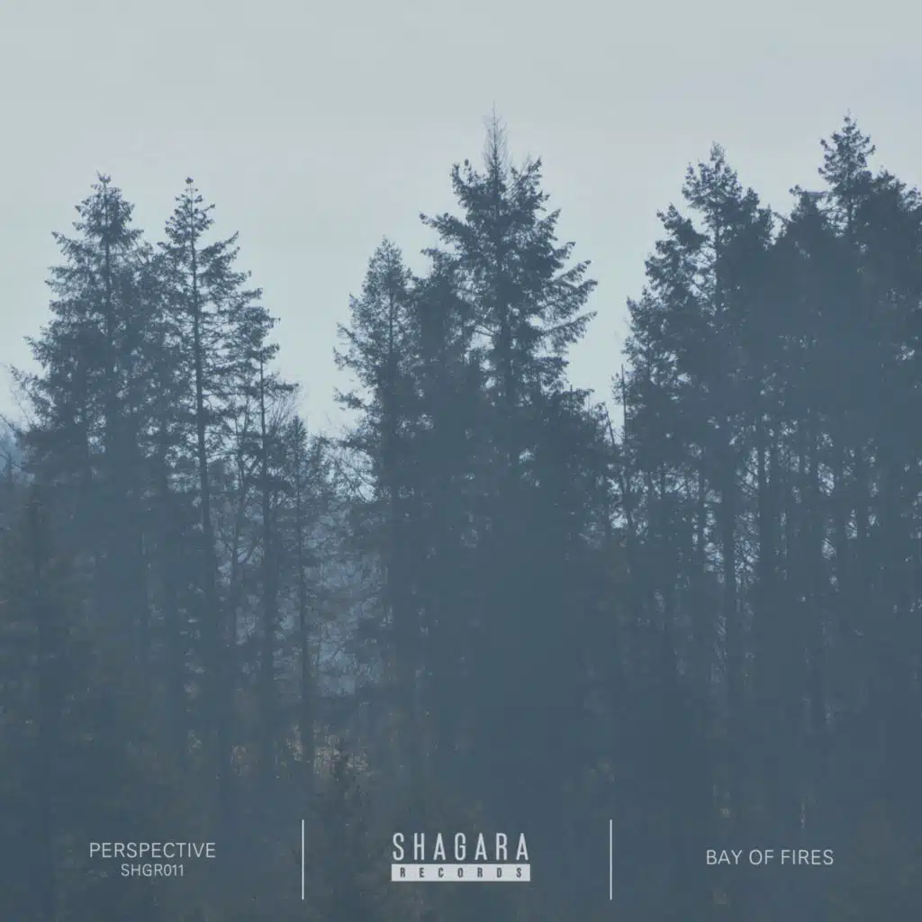 Perspective (feat. Geist)