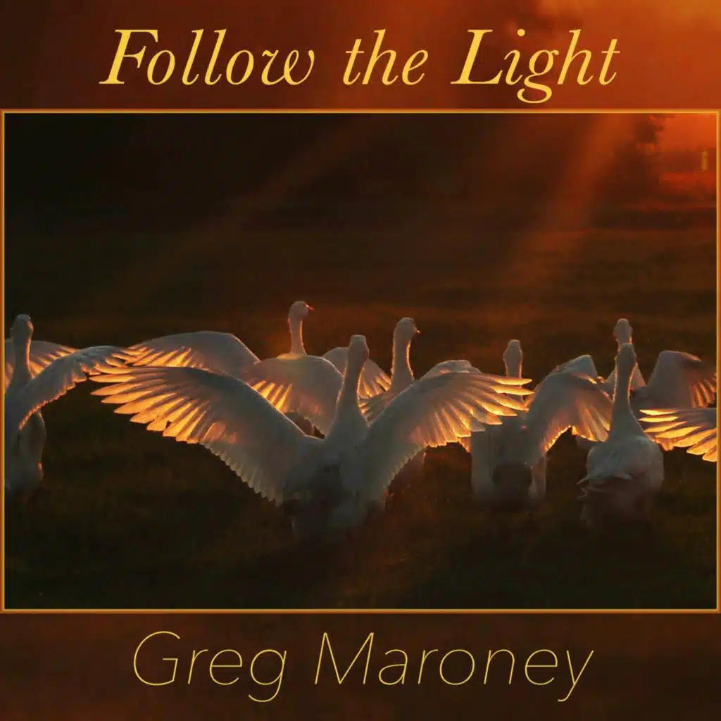 Follow the Light