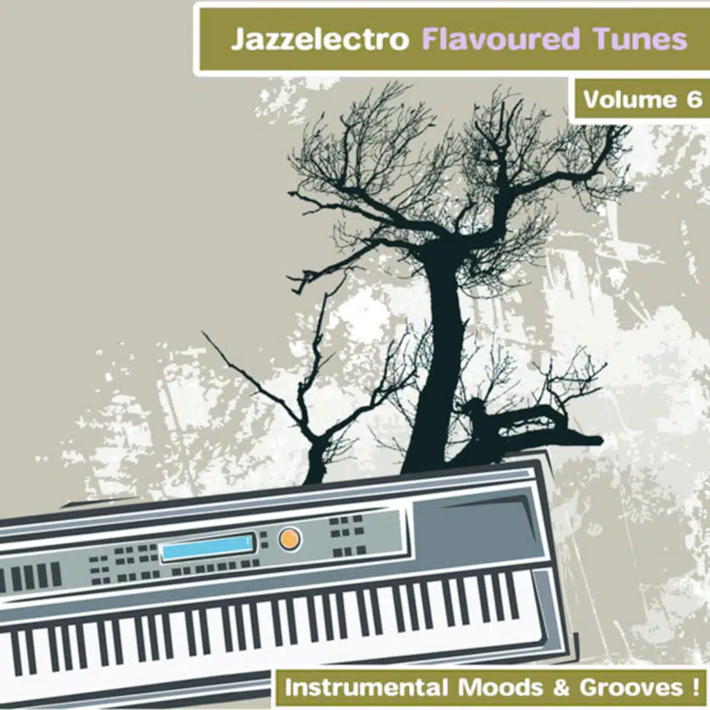 Jazzelectro Flavoured Tunes Vol. 6 - Instrumental Moods & Grooves!
