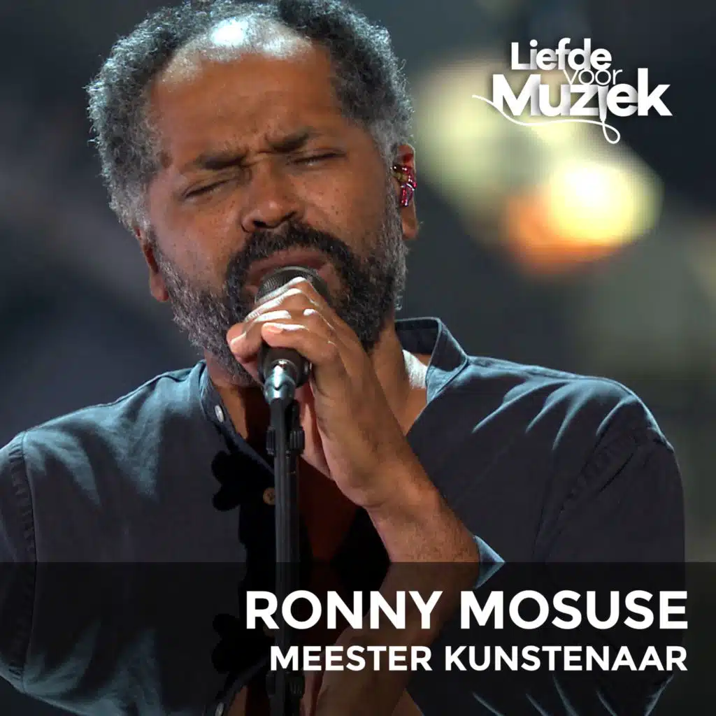 Meester Kunstenaar (Uit Liefde Voor Muziek)