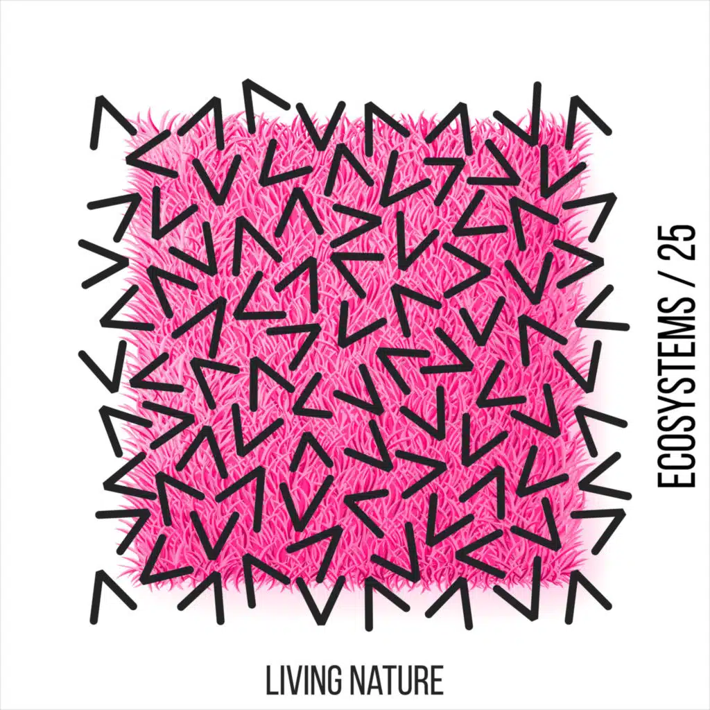 Yell Of Bee, Oxyenen