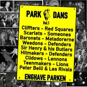 Park Dans i Enghaveparken (Vol.1)
