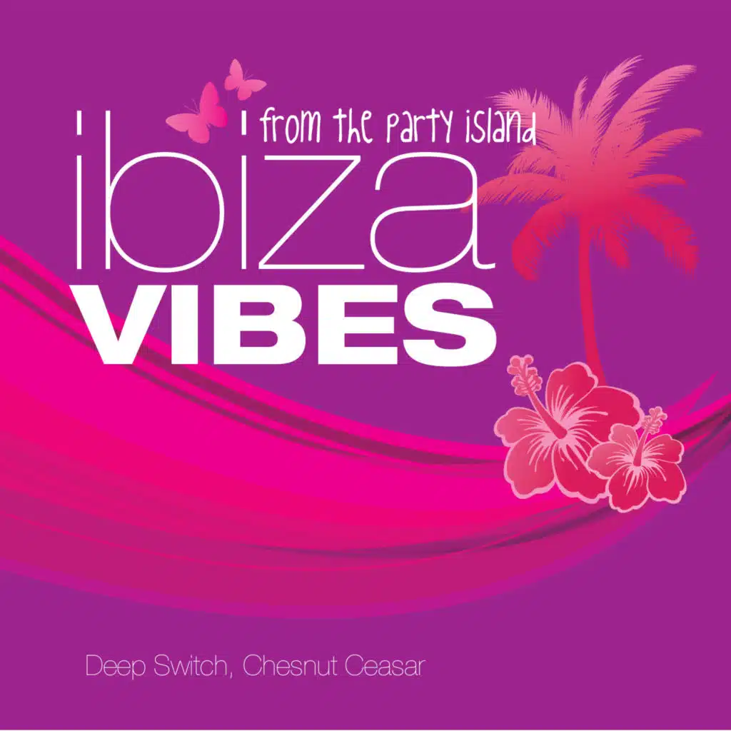Ibiza Vibes - From the Party Island