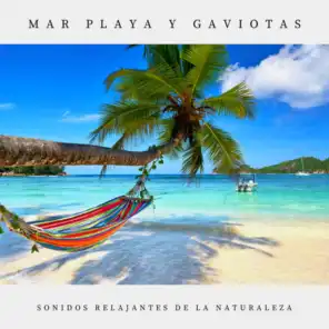 Mar Playa Y Gaviotas, Pt. 01