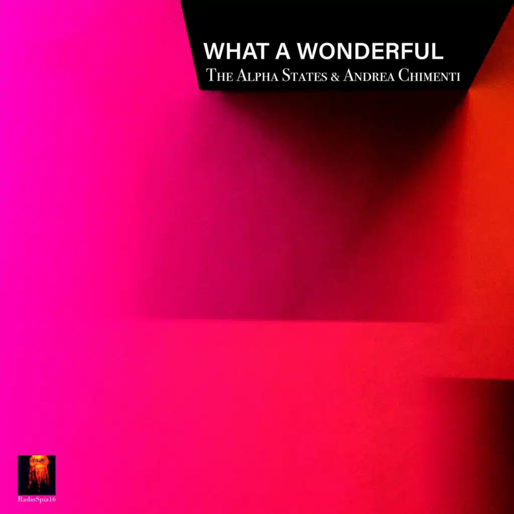 What a Wonderful