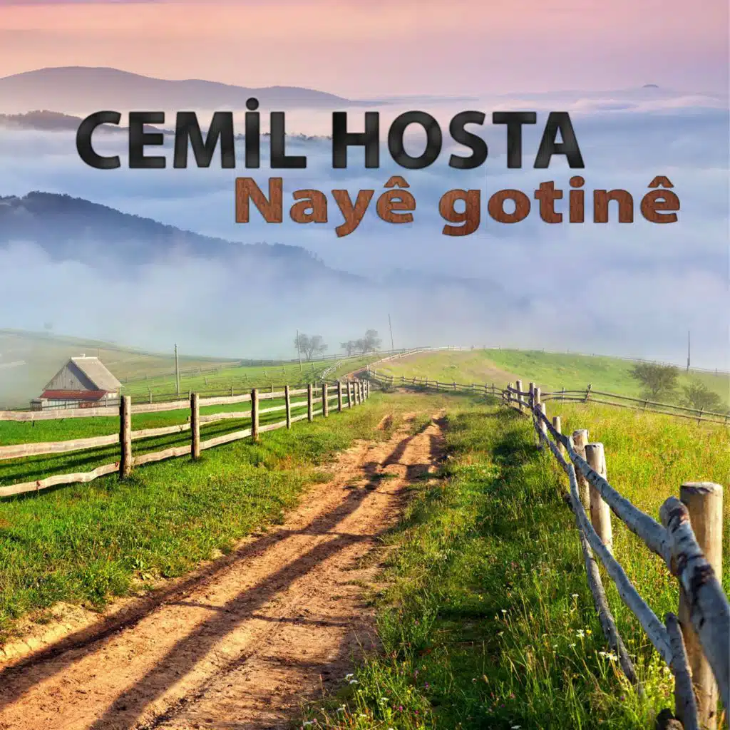 Nayê gotinê (feat. Muhlis Geçmiş)