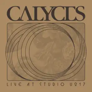 Calyces