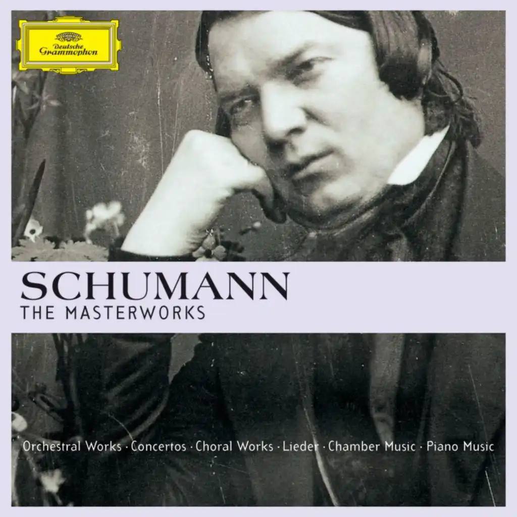 Schumann: Szenen aus Goethes 'Faust' für Solostimmen, Chor und Orchester - Dritte Abteilung (Part Three): Waldung, sie schwankt heran